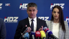 Vice Mihanović