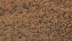 Grijanje na koštice masline