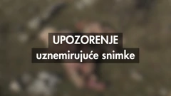 Čagljevi na brdima iznad Baške poklali su stotine ovaca i janjadi
