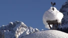 Selo Sappada, filmska scenografija