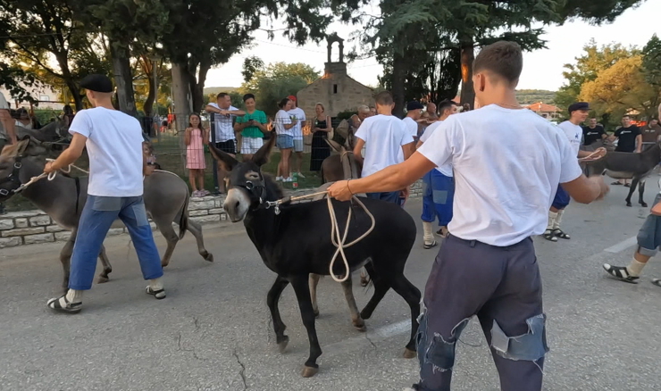 Utrka magaraca opet izazvala podjele: Tradicija ili nepotrebno opterećenje?