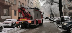 Palo stablo u Ul. Šandora Brešćenskog u Zagrebu, Foto: Maroje Vučićević/HRT