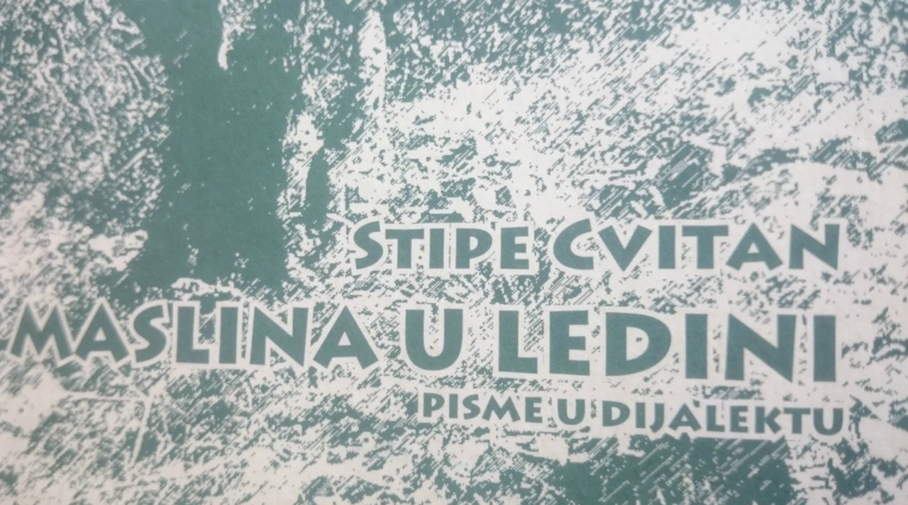 Zbirka pjesama "Maslina u ledini" na tribunjskom idiomu (Foto: isječak iz zbirke)