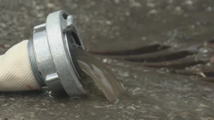 Osijek, Foto: HTV/HRT