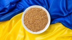 Izvoz ukrajinskih žitarica