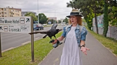 Utorak, 7. veljače na Prvom , Foto: Pametan kao vrana, hrabar kao jež/dokumentarna serija