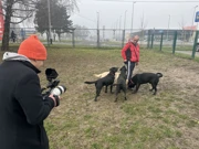 Srijeda, 4. ožujka na Prvom, Foto:  Psi na zadatku /2. sezona dokumentarne serije