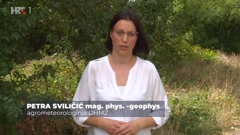Petra Sviličić