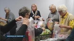 Volonterski klub seniora