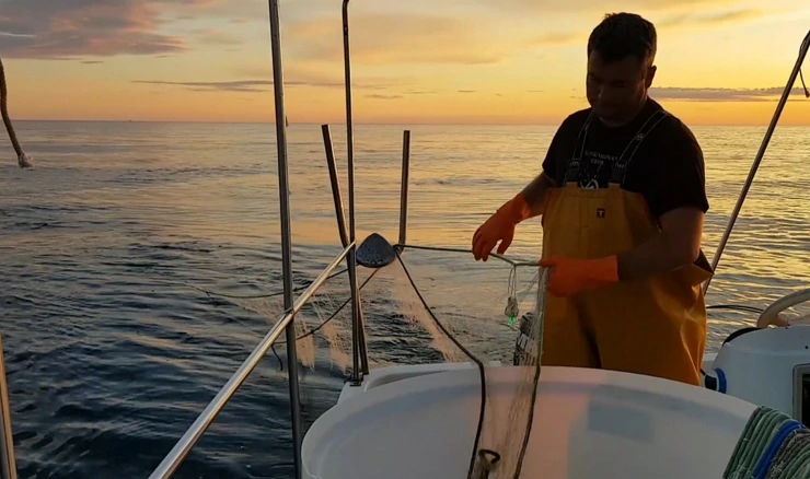 Oporavilište za kornjače