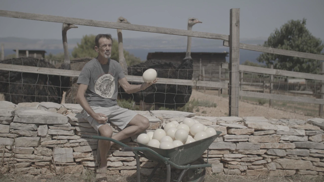 Ponedjeljak, 30. ožujka na Prvom , Foto: Znamo li što jedemo?/2. sezona dokumenarne serije