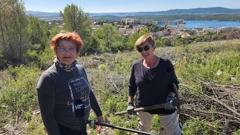 Boranka: šibenske volonterke pošumljavaju Šubićevac, Foto: H. Gunjača/HRT