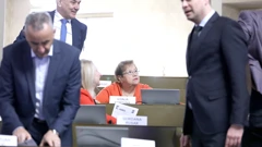 Višnja Fortuna u Gradskoj skupštini