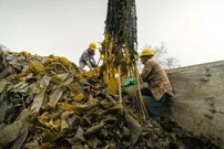 Subota, 3. listopada na Prvom, Foto: Nada za oceane: Promjena jelovnika/dokumentarna serija