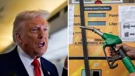 Donald Trump / Benzinska crpka MOL-a 