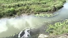 Izvor zagađenja Karašice, Foto: Regionalni dnevnik/HRT