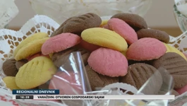Virovska prkačijada 