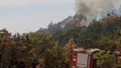Grčka suočena s dosad najvećim požarom u EU-u