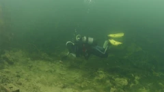 Ronjenjem se bave i više od desetljeća