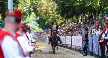 310. Sinjska alka