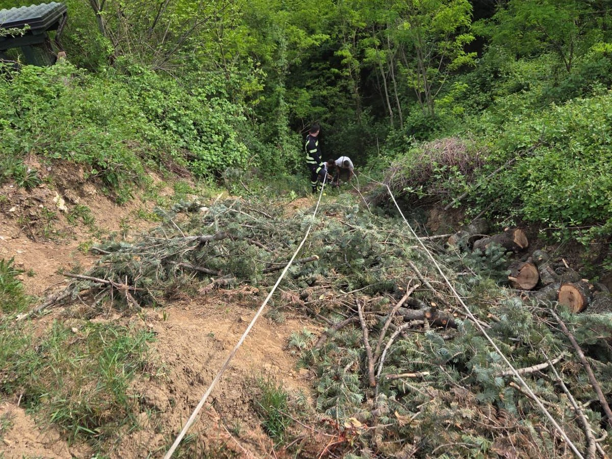 Vatrogasci i mještani spasili ždrijebe iz provalije
