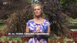 Ivana Čavlina Tomašević
