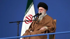 Ali Hamnei 
