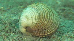 Utorak, 17. kolovoza na Drugom   