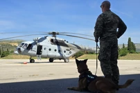 Obuka je uključila upoznavanje pasa s plovilima, čamcima i transportnim helikopterom, Foto: MORH/HRT