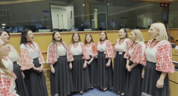 Das Europäische Parlament