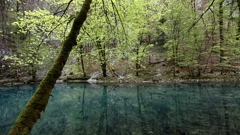 Gorski Kotar: Izvor rijeke Kupe
