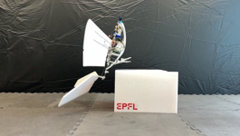Robot inspiriran pticama
