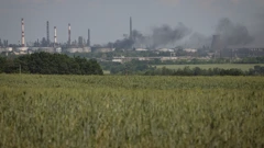 Donbas