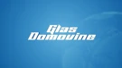 Glas domovine tv