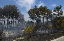 Požar u Dubravi kraj Šibenika gase kanaderi i zemaljske snage, Foto: Pixsell /Pixsell 