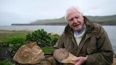 Nedjelja, 22. ožujka na Prvom, Foto: Stoljeće legende: Attenborough i jursko morsko čudovište/dokumentarni film