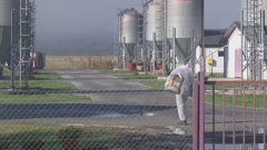 Pričja gripa u općini Oriovac