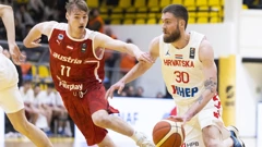 Timo Lanmuller, Dominik Mavra 