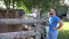 Vole kad ih se hrani i mazi