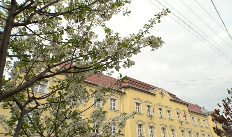 Gospodarska škola, Makó