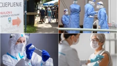 Epidemija koronavirusa