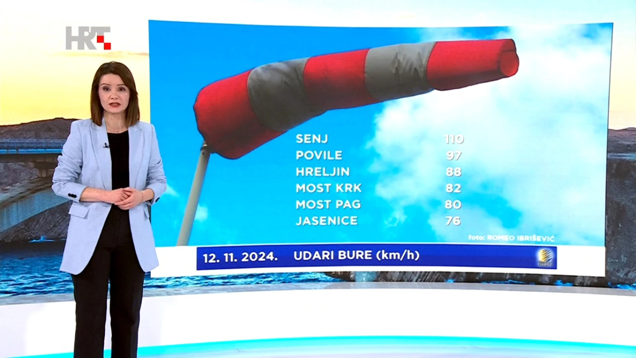 Tomislava Hojsaka, Foto: emisija "Vrijeme"/HRT