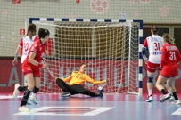 Hrvatska - Češka, Foto: Srecko Niketic/PIXSELL