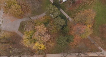 Vrhunac jeseni u Osijeku obilježen plesom lišća i glazbom