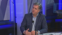 Damir Novotny, ekonomski analitičar