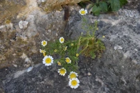 Imotski rund um die Festung Topana, Foto: Dana Jungbluth/-