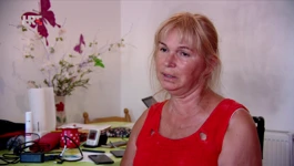Vesna Škulić