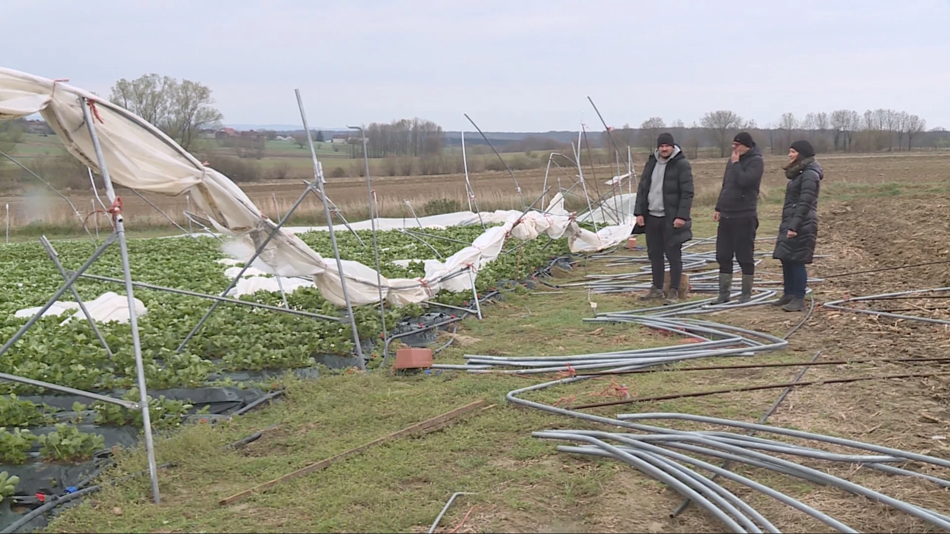 Velike štete u poljoprivredi: Oluja uništila plastenike kod Bjelovara