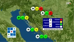 peludna prognoza NZJZ-a, Foto: HRT/HRT