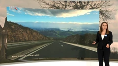 Petra Mikuš Jurković